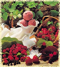 Italien fruit ice cream